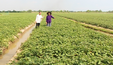 Phong trào xây dựng nông thôn mới đã được người dân hưởng ứng tích cực, từ đó thụ hưởng thành quả của chương trình mang lại.