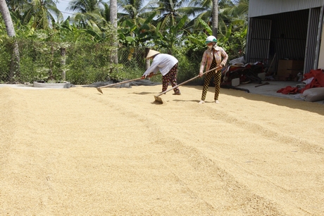 Hợp tác xã còn gặp nhiều khó khăn về nội tại.