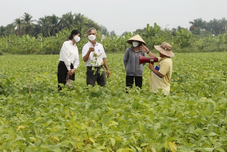 Tham gia kinh tế tập thể sẽ giúp nông dân gia tăng giá trị sản phẩm, nâng cao đời sống.