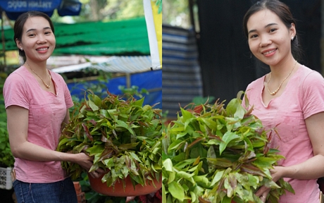 Một chủ quán dưới chân Phật Di Lặc khoe mớ rau rừng vẫn tươi xanh với khách