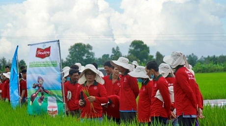 Kỹ thuật viên Bayer giải thích về các ưu điểm của Routine Start trong việc bảo vệ cây trồng, giúp tiết kiệm chi phí và nguồn lực trong quá trình canh tác, mang lại một vụ mùa thành công cho nhà nông.