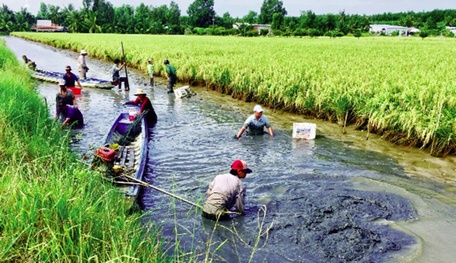  Năm 2017, toàn tỉnh chỉ có 6,5ha sản xuất tôm-lúa sạch, bền vững, đạt chuẩn hữu cơ, đến nay đã có 1.230 ha sản xuất đạt chuẩn và liên kết tiêu thụ sản phẩm với doanh nghiệp. (Ảnh minh họa: DL).