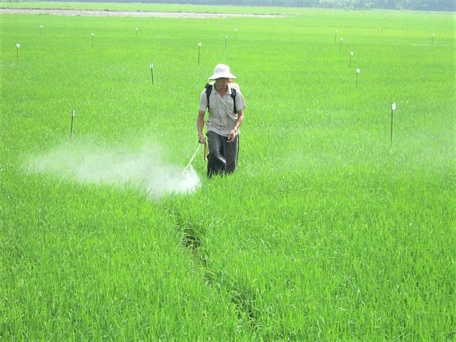 Cần tăng cường kiểm soát, bình ổn giá vật tư nông nghiệp để giảm bớt gánh nặng chi phí cho nông dân.