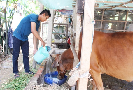 Vừa làm giáo viên, anh Sơn Thanh Toàn vừa tăng gia sản xuất để phát triển kinh tế. 