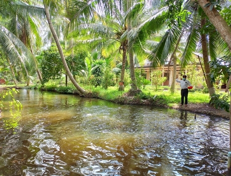 Những năm qua, thu nhập của người dân xã Hiếu Nhơn ngày càng được nâng cao.