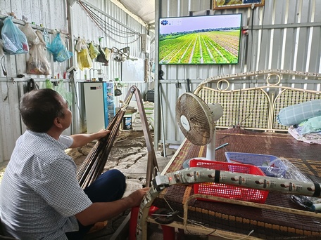 Hệ thống camera giúp anh Út nằm võng trong chòi vẫn có thể giám sát nhân công làm việc.