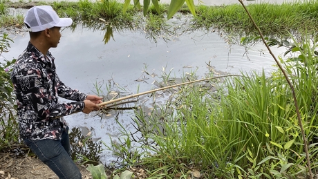 Hè với trẻ em, thiếu niên ở vùng nông thôn.