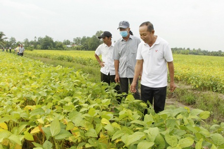 Người cao tuổi tích cực đi đầu tham gia các mô hình sản xuất mới nâng cao hiệu quả kinh tế, cải thiện đời sống.