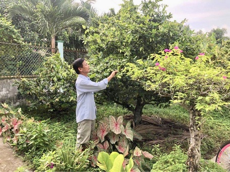 Người cao tuổi sống vui, sống khỏe, tham gia xây dựng quê hương, noi gương sáng cho thế hệ trẻ.