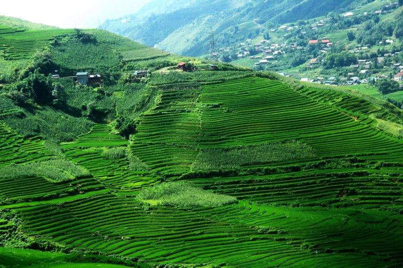 Từng “nấc thang lên thiên đường” được xếp chồng lên nhau, cao lên mãi, cảnh sắc mê hồn trên đường vào bản Tả Van, Lao Chải.