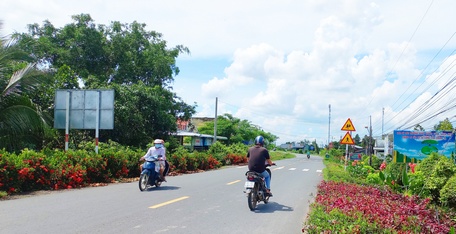 Tuyến đường hoa tại xã nông thôn mới nâng cao Thành Trung (Bình Tân).