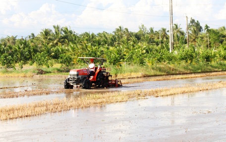 Ấp Mướp Sát thực hiện phương châm lấy phát triển kinh tế làm đòn bẩy để xây nông thôn mới kiểu mẫu.