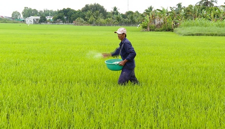 Giá phân bón tăng cao, nông dân giảm lợi nhuận, thậm chí thua lỗ.