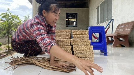 Tập trung vào đối tượng nông dân, người lao động ở khu vực phi chính thức để vận động phát triển BHXH tự nguyện, BHYT hộ gia đình.