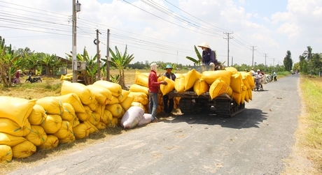 Nông dân cần bình ổn giá vật tư nông nghiệp để sản xuất có lời.