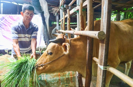 Viết đơn xin thoát nghèo, chú Lý Thiên Thanh lan tỏa tinh thần vượt khó vươn lên thoát nghèo.