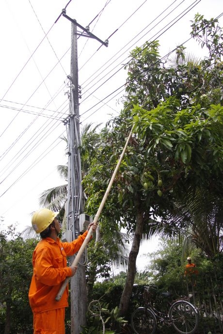 Công nhân ngành Điện lực phát quang hành lang lưới điện để ngăn ngừa các nguy cơ sự cố có thể xảy ra.