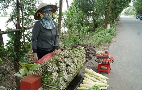 Bẹ và lá non của loại rau này có thể ăn sống trực tiếp, làm gỏi, luộc, xào, chiên, hay có mặt trong món lẩu mắm 