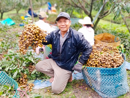 Chuyển dịch cơ cấu nông nghiệp đúng hướng đem lại thu nhập cao và ổn định cho nông dân.