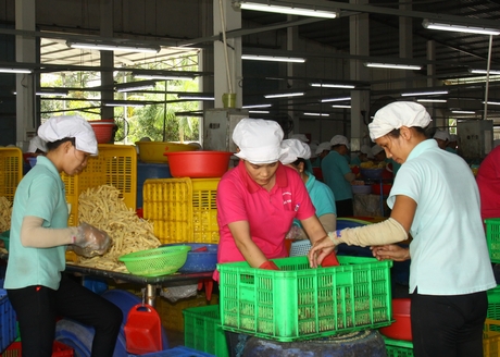 Tác giả cho rằng, Vĩnh Long có những chiến lược phát triển thương hiệu phù hợp.  Ảnh: TRẦN PHƯỚC