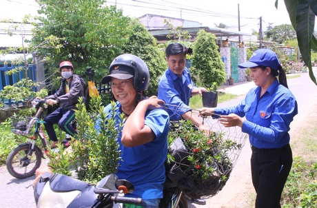 Mô hình “Vườn ươm thanh niên” của Xã Đoàn Bình Phước đã phát huy vai trò của tuổi trẻ trong tham gia xây dựng cảnh quan xanh, đẹp.