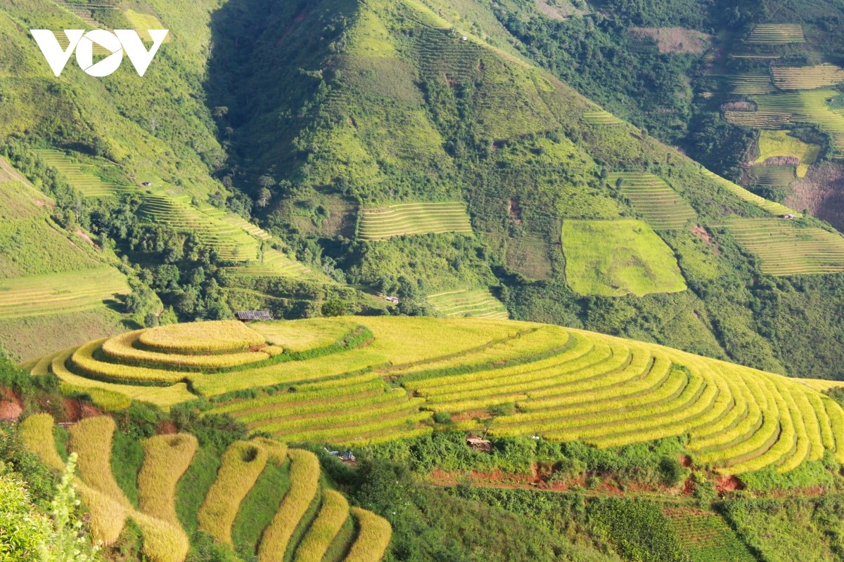 Những cung ruộng bậc thang được tạo nên từ bàn tay cần cù sáng tạo của người Mông vùng cao Xím Vàng