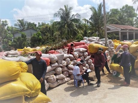 Các địa phương cần chú trọng thực hiện liên kết sản xuất, bảo đảm đầu ra ổn định cho nông dân.