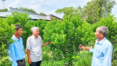 Bằng nhiều cách hỗ trợ thiết thực, các cấp hội đã giúp cho nhiều hội viên đầu tư phát triển sản xuất, nâng cao thu nhập.