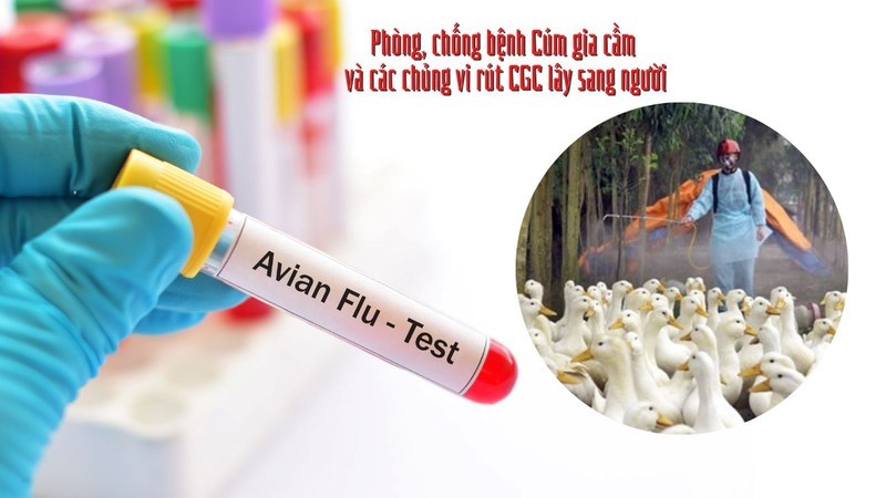 (Ảnh: CDC Phú Thọ)