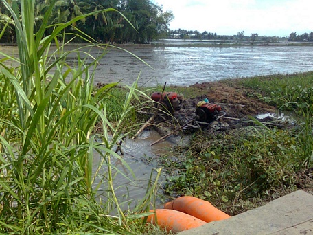 Cần bố trí máy bơm công suất lớn, bơm tập trung đề phòng cứu lúa Đông Xuân bị ngập úng.