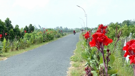 NTM huyện Bình Tân ngày càng khởi sắc.