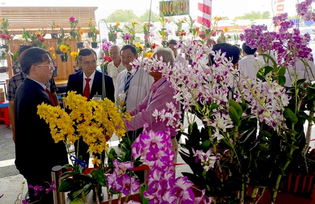 Hoa lan tham dự hội thi.