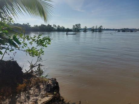 Khu sạt lở bờ sông Cổ Chiên, đoạn thuộc xã Hòa Ninh (Long Hồ) vào ngày 5/12.