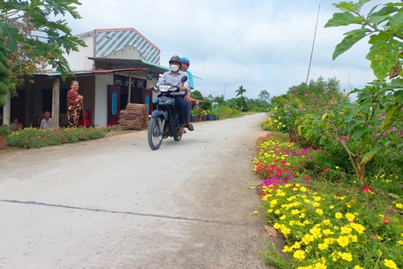 Các tuyến đường giao thông sau khi được xây dựng hoàn thành được người dân chăm chút trồng, tạo diện mạo đẹp hơn.