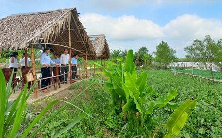 Với địa điểm lý tưởng, nhiều hộ dân đang đầu tư phát triển dịch vụ ăn uống, du lịch, thu hút khách đến tham quan, hóng mát.