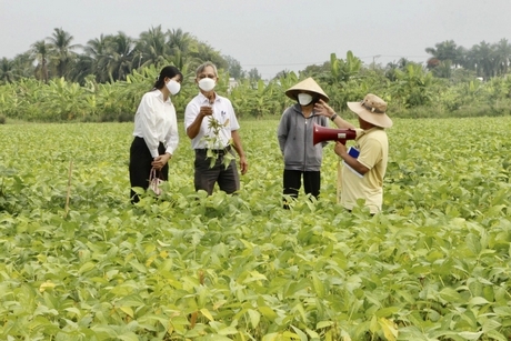 Thu hút đầu tư vào nông nghiệp, thúc đẩy phát triển sản xuất và tiêu thụ sản phẩm.