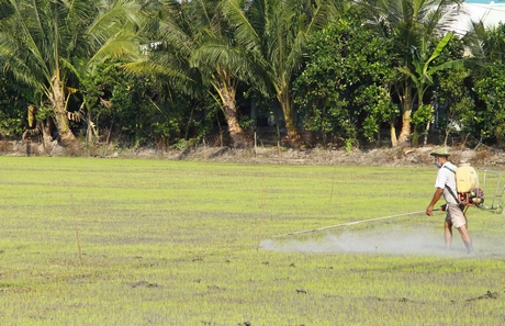 Chi phí sản xuất tăng cao khiến nông dân lo lắng.