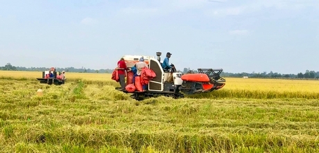 Nông dân dần thay đổi tư duy, sản xuất sạch, an toàn, có liên kết để nâng giá trị sản phẩm.