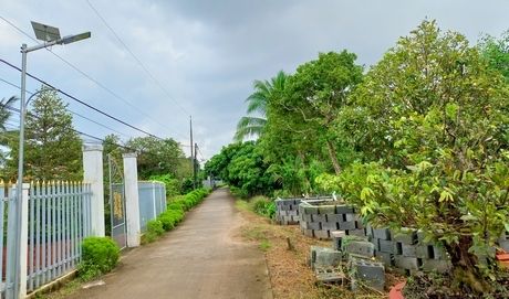 Với phương châm “đường đến đâu, đèn đến đó”, các tuyến đường nông thôn đã sáng.