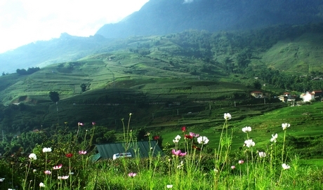 Bản Tả Van bao la xanh ngút ngàn.