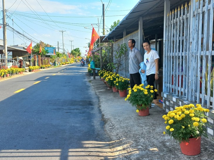 Không gian Tết quê được điểm thêm hàng ngàn chậu vạn thọ vàng rực rỡ - Ảnh: LAN NGỌC