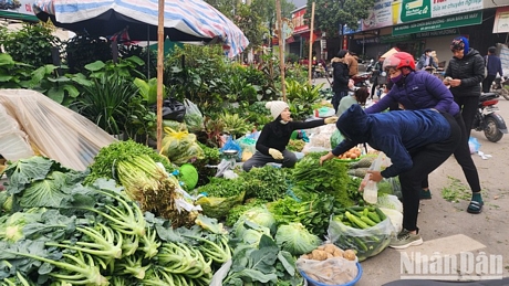 Ngoài bún, các tiểu thương còn bày bán thêm rau xanh, cây cảnh để lấy may.