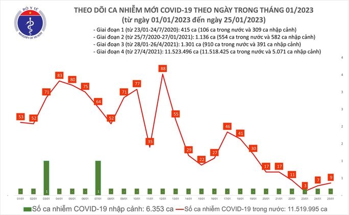 Biểu đồ dịch COVID-19