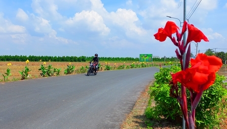 Chương trình xây dựng NTM làm bộ mặt nông thôn thay đổi rõ nét.