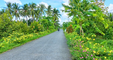 Sắc xuân  trên những  tuyến đường. 