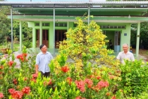 Xây ấp nông thôn mới kiểu mẫu ở làng mai vàng
