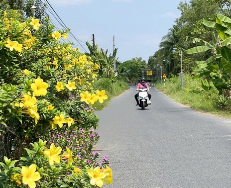 Bình Hòa Phước đang tập trung nâng chất diện mạo cho xã.