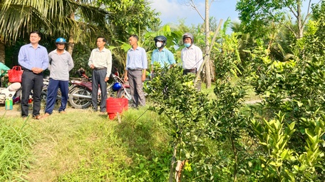 Hội Nông dân tỉnh trao đổi với cán bộ địa phương và nông dân xã Hiếu Thành (huyện Vũng Liêm) về tình hình tiêu thụ cam sành vào sáng 21/2.