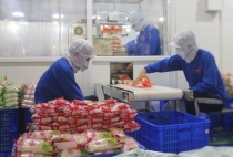 Khuyến công góp phần chuyển dịch cơ cấu kinh tế