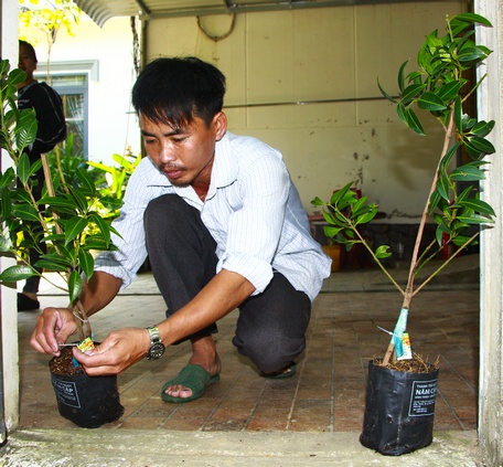 HTX Thanh trà ngọt Đông Thành tiếp tục đầu tư xây dựng thương hiệu để tăng sức cạnh tranh trên thị trường.